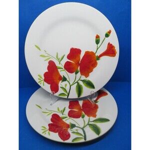 Home Studio "Garden Bouquet" Set Of 2 Poppy 10 3/4" Dinner Plates READ DESC